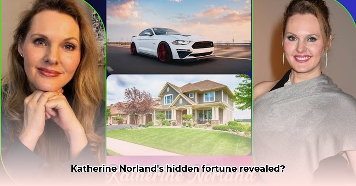 katherine-norland-net-worth